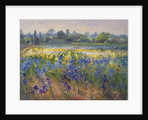 Blue Haze at Burgate, 1993 by Timothy Easton