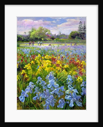 Hoeing Team and Iris Fields, 1993 by Timothy Easton