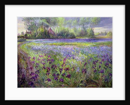 Trackway past the Iris Field, 1991 by Timothy Easton