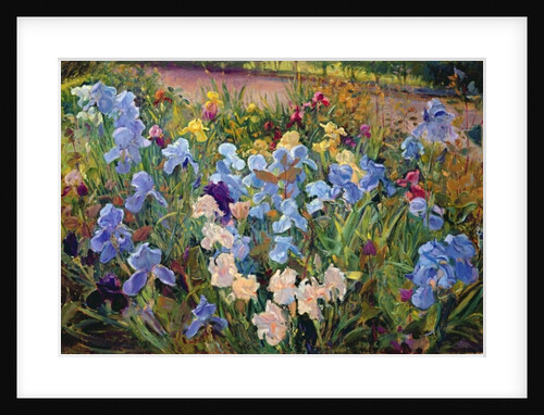 The Iris Bed, 1993 by Timothy Easton