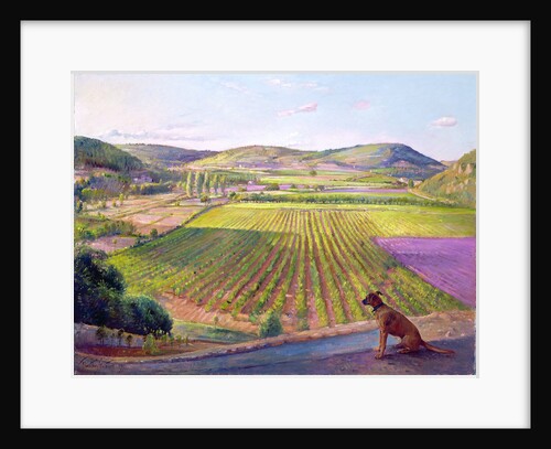 Watching from the Walls, Old Provence, 1993 by Timothy Easton