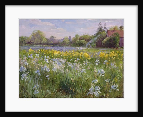 Bonfire and Iris Field, 1993 by Timothy Easton