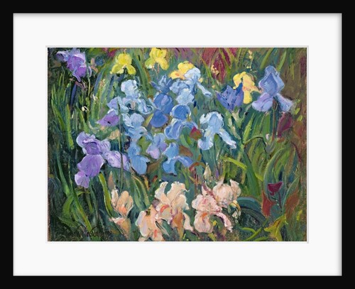 Irises: Pink, Blue and Gold, 1993 by Timothy Easton