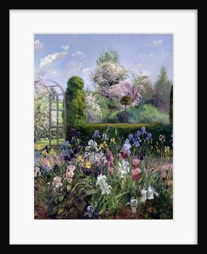 Irises in the Formal Gardens, 1993 by Timothy Easton