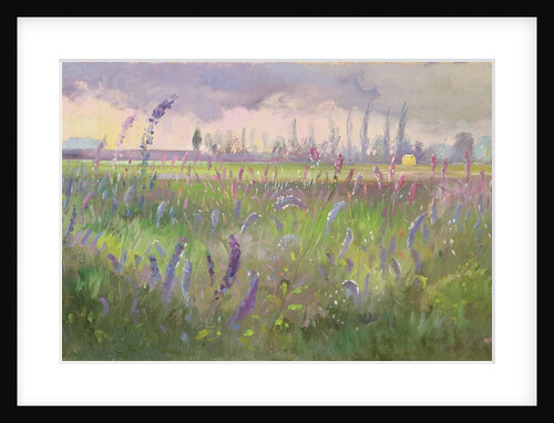 Delphiniums, Storm passing, 1991 by Timothy Easton