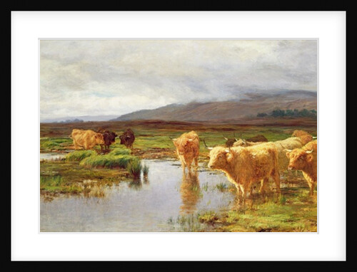 Moorlands and Mist by Duncan McLaurin