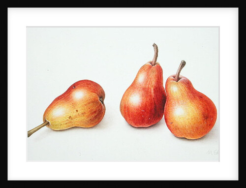 Red Pears, 1996 by Margaret Ann Eden