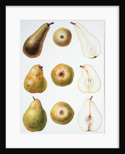 Six Pears, 1994 by Margaret Ann Eden