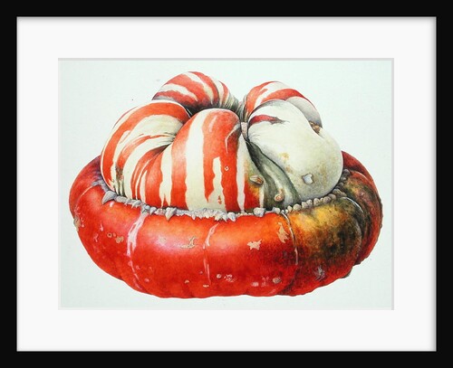 Turk's Turban Squash, 1995 by Margaret Ann Eden