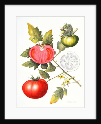 Tomatoes, 1994 by Margaret Ann Eden