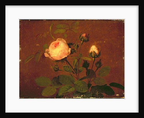 Roses, Roses by Otto Didrik Ottesen