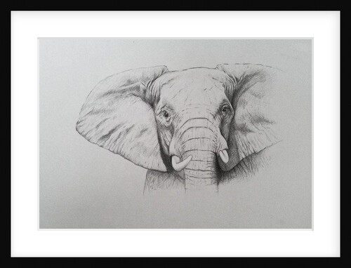 Elephant, 2011 by Eleanor Grafton