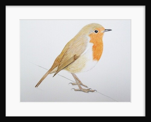 Robin, 2011 by Eleanor Grafton