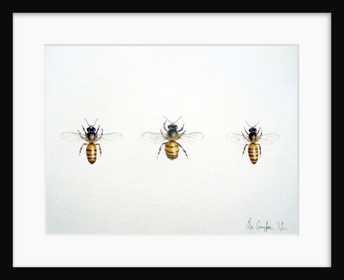 Three Bees, 2012 by Eleanor Grafton