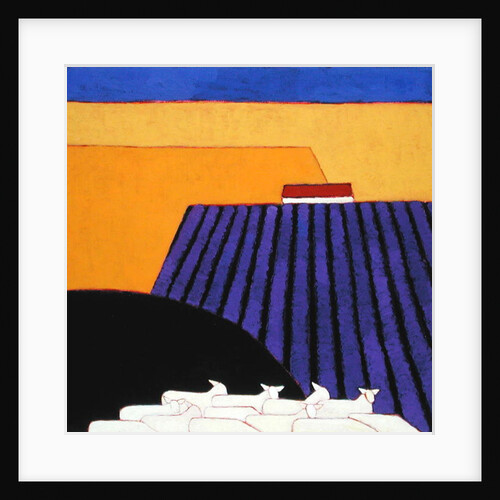 Sheep and Lavender Fields, 2004 by Eithne Donne