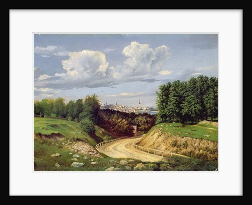 View of Tallinn by Alexander Georg Schlater