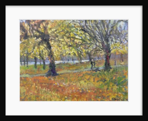 November in Hyde Park, 1997 by Patricia Espir