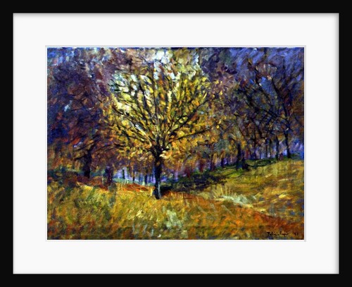 November in Hyde Park, 1997 by Patricia Espir