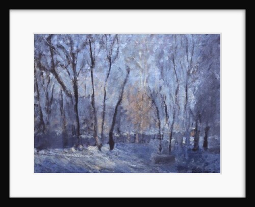 Snow in the Garden, 1993 by Patricia Espir