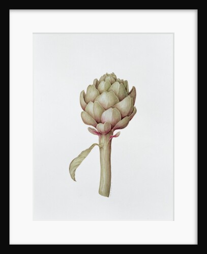 Artichoke, 1999 by Diana Everett