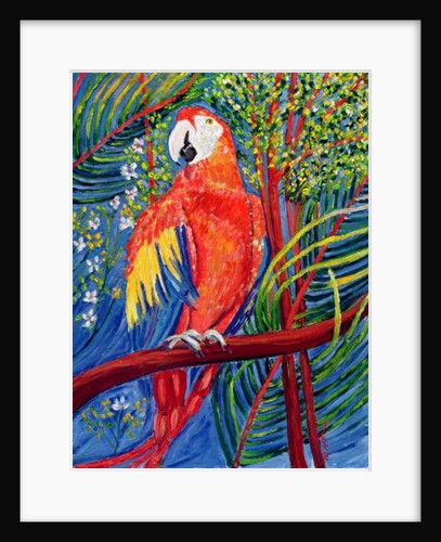 Pretty Polly by Patricia Eyre