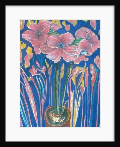 Amarylis by Patricia Eyre