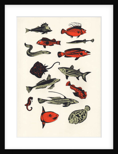 Orange Plain Fish, 2016 by Eliza Southwood