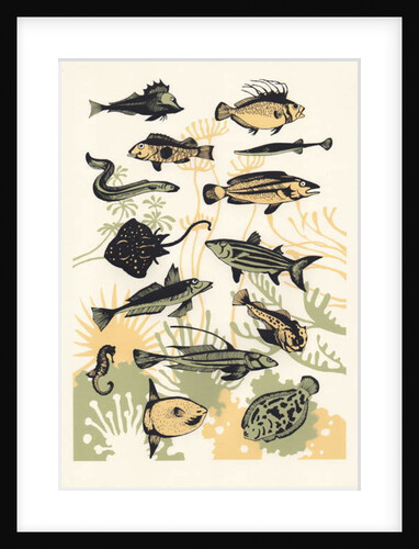 Peach Seaweed Fish, 2015 by Eliza Southwood