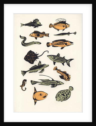 Plain Fish, 2015 by Eliza Southwood