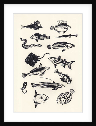 Monotone Plain Fish, 2015 by Eliza Southwood