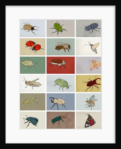 Insects, 2012 by Eliza Southwood
