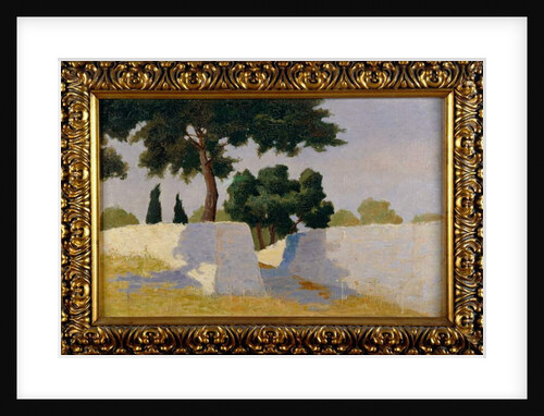 Landscape with white walls by Damaso Bianchi