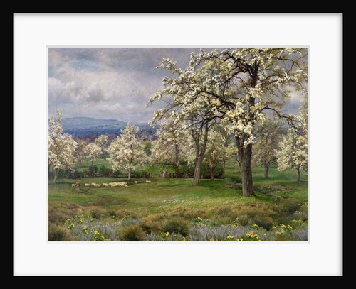 The Pear Orchard, c.1903 by Alfred Parsons
