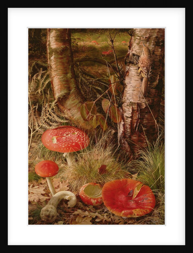 Fly Agarics, 1981 by Raymond Booth