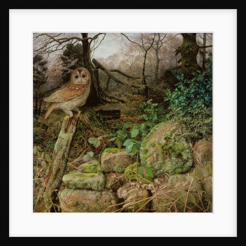 The Wild Wood - A Winter Evening, 1995 by Raymond Booth