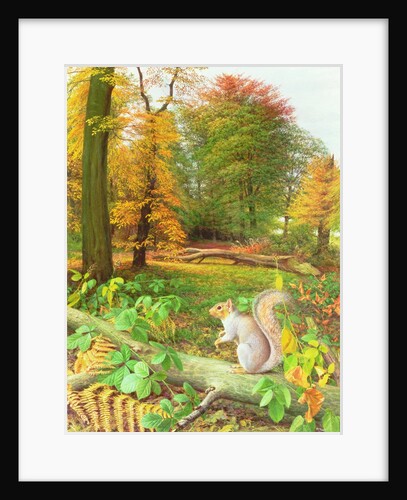 Squirrel on a Fallen Tree, 1995 by Raymond Booth