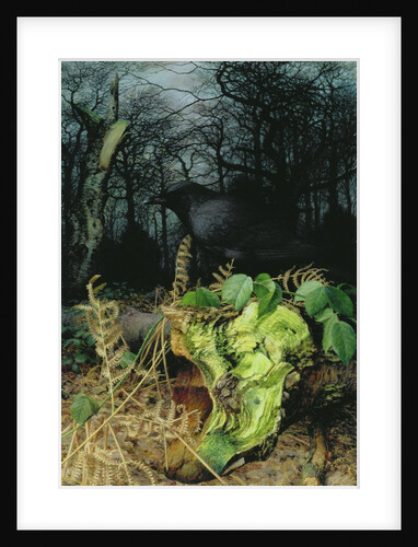 Midwinter in the Woods, 1999 by Raymond Booth