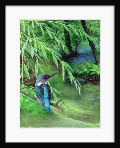 Kingfisher, 1996 by Raymond Booth