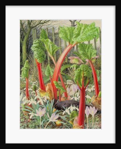 In the Rhubarb Patch, 2000 by Raymond Booth