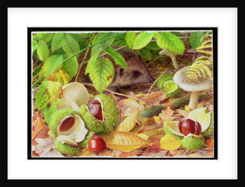 On the Woodland Floor in October, 1998 by Raymond Booth