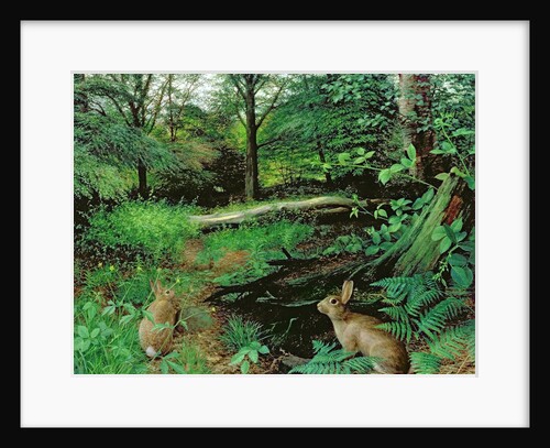 In the Woods - A Midsummer Evening by Raymond Booth