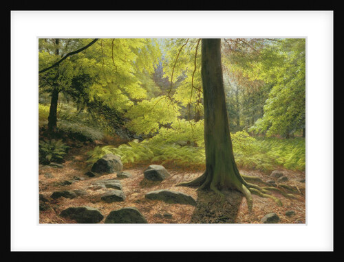 Spring Sunshine in Adel Woods, 1993 by Raymond Booth