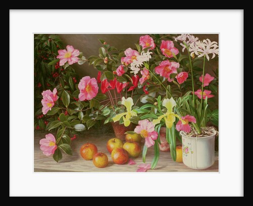 November Flowers, 1993 by Raymond Booth