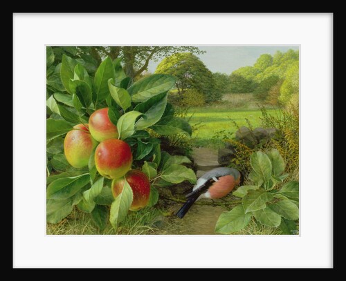 Katja Apple and Bullfinch, 1999 by Raymond Booth