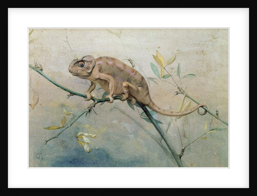 Chameleon, 1901 by Edwin John Alexander