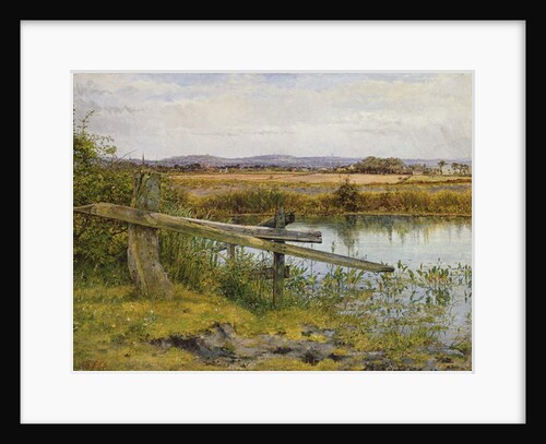 The Roadside, 1862 by John Edward Newton