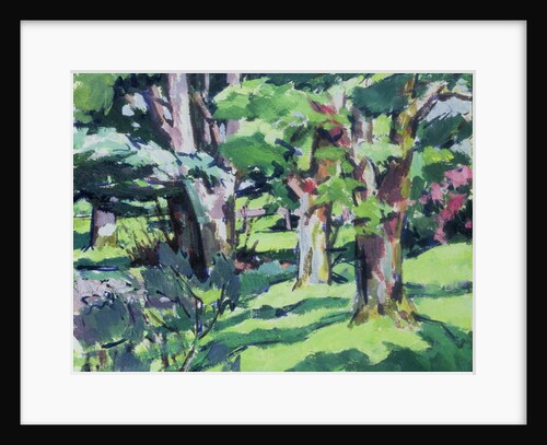 Trees at Auchinleck, Ayrshire by Francis Campbell Boileau Cadell