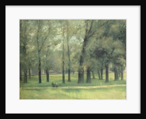 Elms near Long Walk by Paul Fordyce Maitland