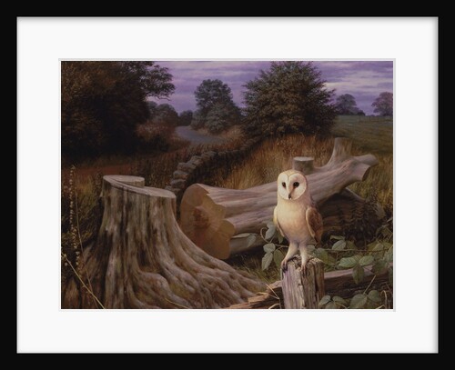 Barn Owl at Dawn, 1980 by Raymond Booth