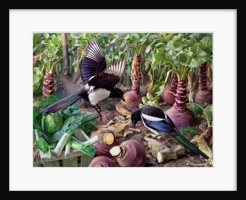 Magpies in the Vegetable Garden by Raymond Booth